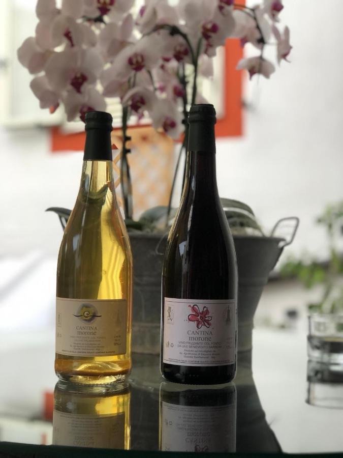 Agriturismo Cantina Morone Guardia Sanframondi Luaran gambar